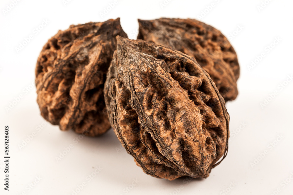 Three real wild natural hazelnuts in a shell lie on a white background Three real wild natural hazelnuts in a shell lie on a white background
