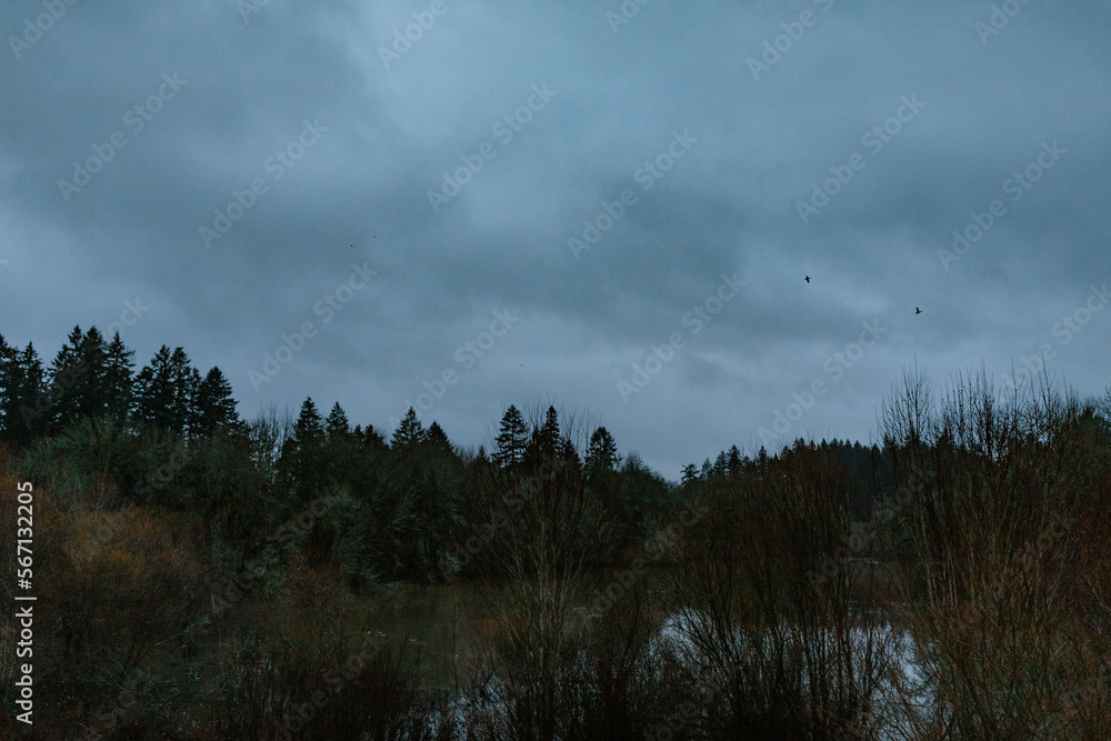 eerie sky with 2 birds eerie sky with 2 birds