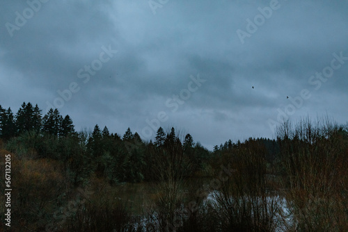 eerie sky with 2 birds