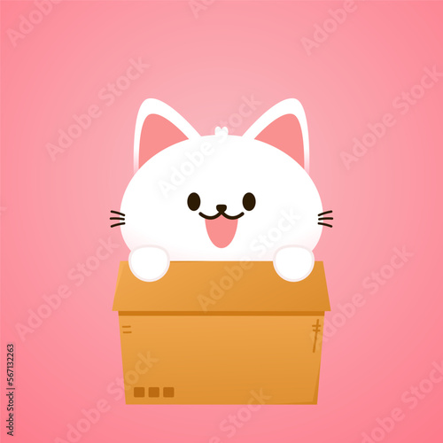 Cat in box. Cartoon cat biting a huge box Valentine's Day greeting card.