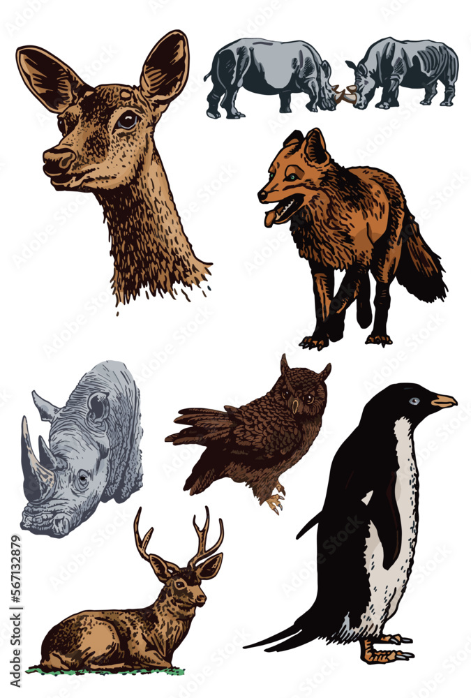 Fototapeta premium Graphical big color set of animals isolated on white,vector elements for design,books and printing 