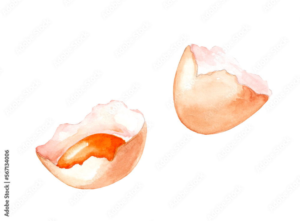 Broken chicken eggs. Ingredient for baking and cooking. Watercolor hand drawn illustration