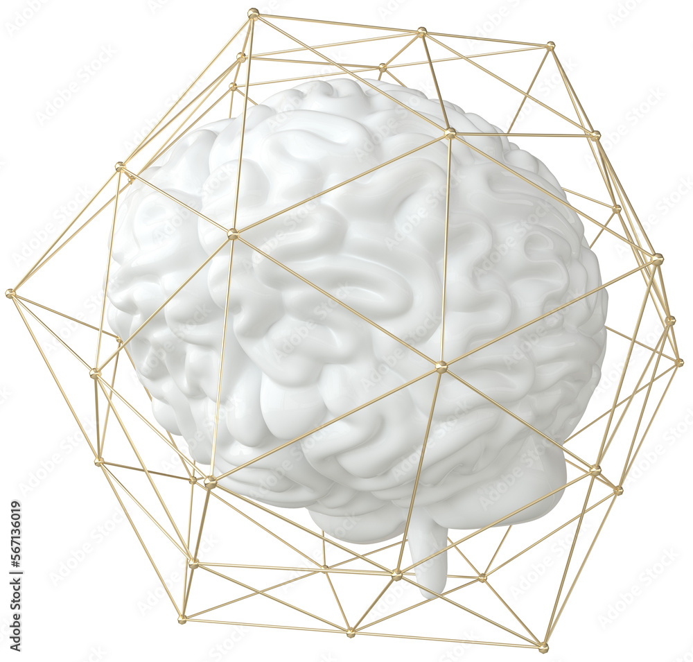 3d brain rendering png on transparent background. The concept of ...
