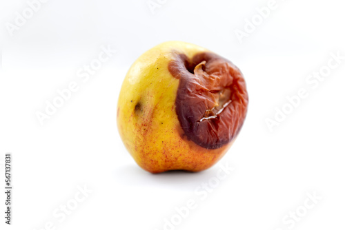 A rotten apple isolated in white background. Rotten apple concept. Decay in nature. photo
