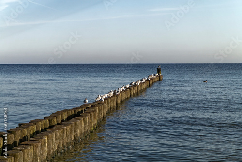 The Baltic Sea seen through the eyes of a sunbather