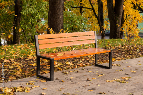 Autumn bench in a park full of falling yellow leaves. Day.