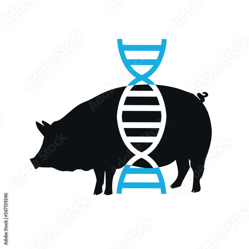 animal cloning Biochemistry symbol, Biological processes sign, biology and engineering drawing, Fgenetic manipulations.
