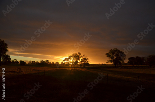 Stormy Sunset in Western Australian Bush