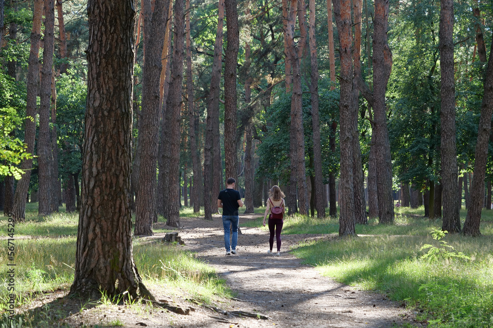 Man and woman walk among beautiful coniferous trees in forest Man and woman walk among beautiful coniferous trees in forest