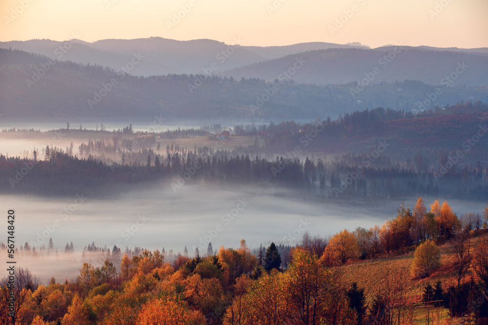 Krajobraz jesienny. Wschód słońca i mgły w górach. 