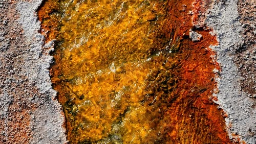 Beautiful view of hot spring pool geothermal landscape. Geyser basin and forest. Famous tourist attraction at Yellowstone national park. Hot thermal spring Black Pool in Yellowstone National Park