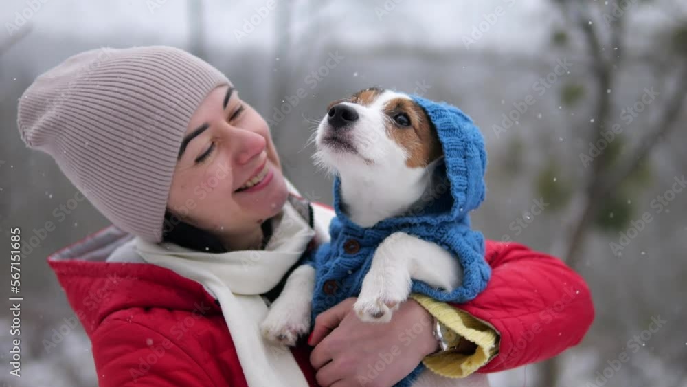 A girl walks with a dog in snowy winter weather. Hug a pet. A woman holds a Jack Russell dog in her arms. The puppy looks at the sky as snow falls. A girl walks with a dog in snowy winter weather. Hug a pet. A woman holds a Jack Russell dog in her arms. The puppy looks at the sky as snow falls.