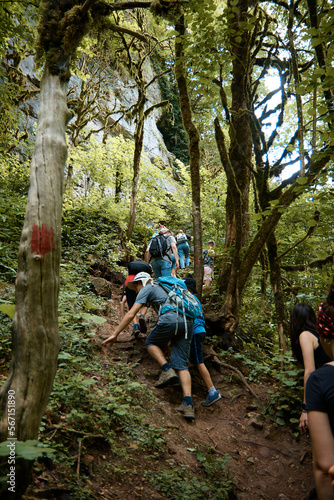 a group of tourists climbs up forest trail, dense forest, hiking in mountains, green forest, back view, behind
