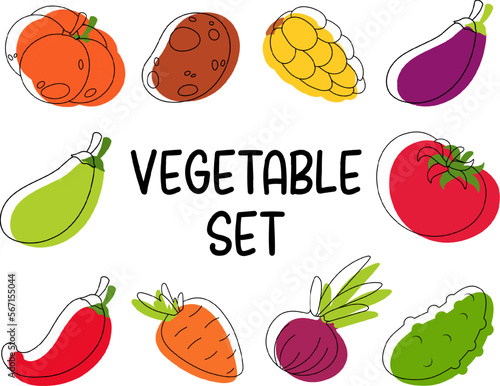 Set of drawing vegetables, outline and paint. Potato, onion, tomato, cucumber, zucchini, eggplant, pumpkin, carrot, pepper, corn