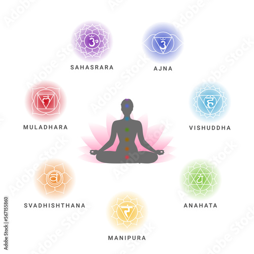 Colored human chakras