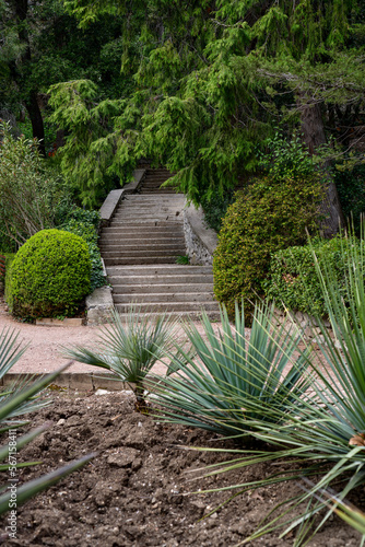 stone wall and garden
