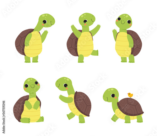 Cute Turtle with Shell and Short Feet Engaged in Different Activity Vector Set
