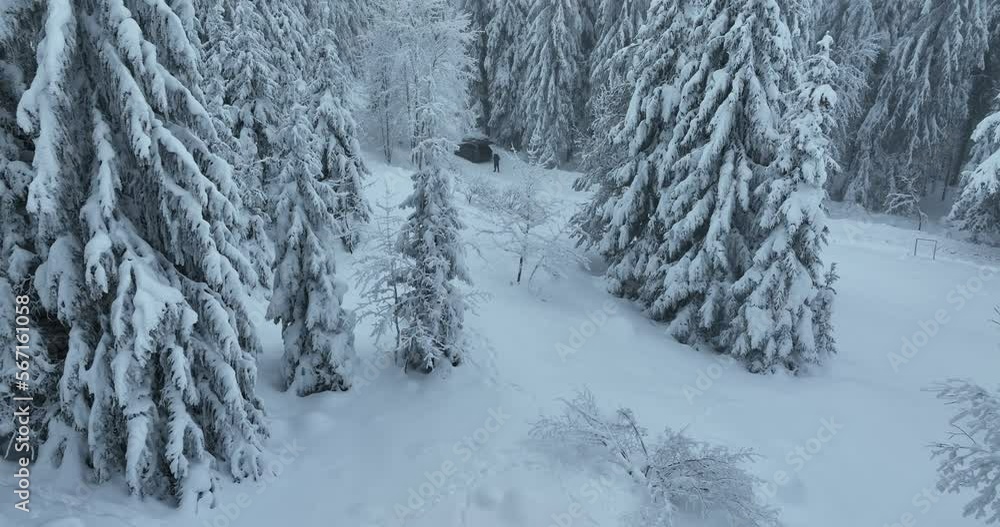 Cinematic Aerial View of Beautiful path in nature with Snowy branches in forest. Winter fairy background. Cinematic Aerial View of Beautiful path in nature with Snowy branches in forest. Winter fairy background.