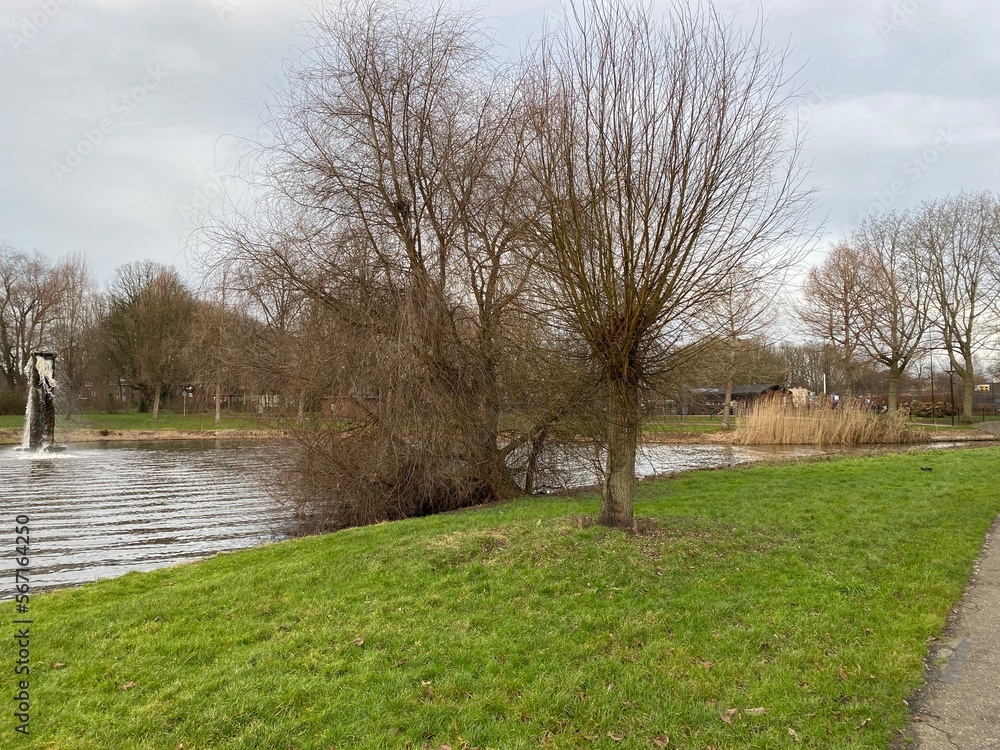 Naklejka premium spring in the park