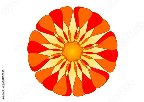 blüte mit vielen roten und orangen blütenblättern