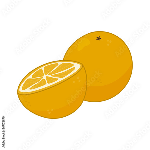 Whole and half oranges. Vector cartoon illustration isolated on white background.