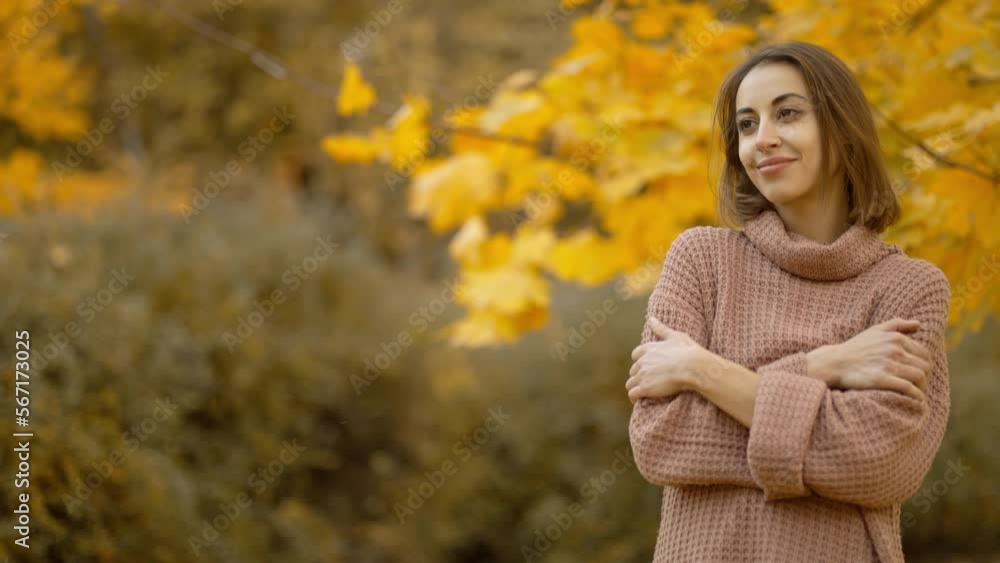 stunning young brunette woman in autumn forest with yellow foliage. stylish attractive girl walks in park at warm fall day. slow motion 4k footage stunning young brunette woman in autumn forest with yellow foliage. stylish attractive girl walks in park at warm fall day. slow motion 4k footage