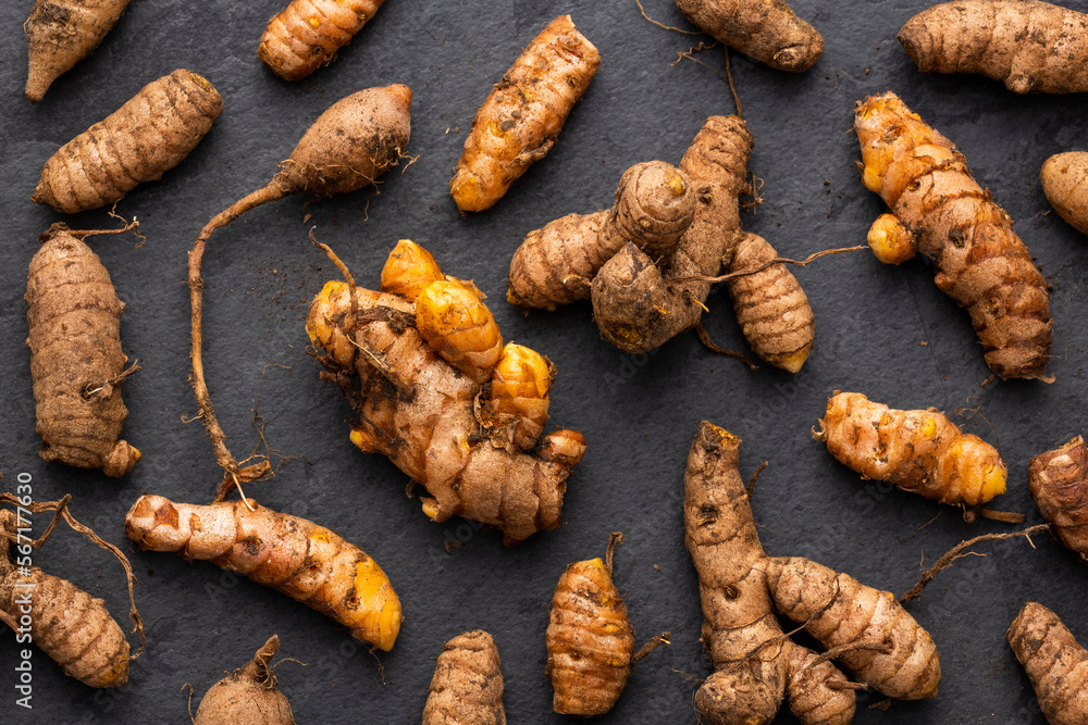 Fototapeta premium Organic turmeric spice roots - Curcuma longa