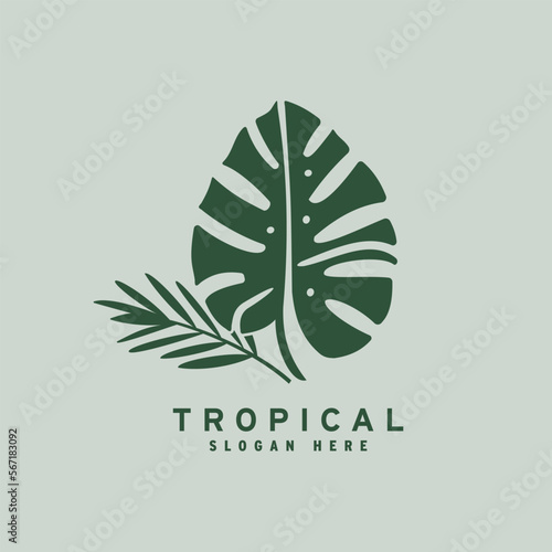 Tropical leaf logo design vector illustration icon element isolated.