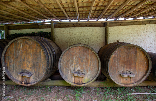 Old wine barrels in vineyard storage in Sao Roque city, Sao Paulo state, Brazil photo