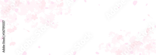 ぼんやりふんわりとした桜のイメージ