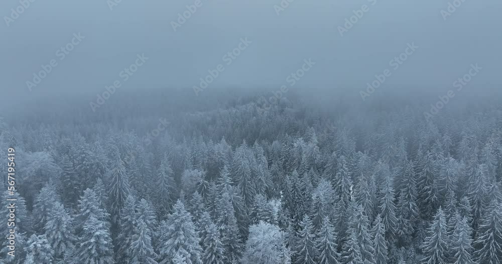 Aerial top view drone shot of the pine and spruce trees forest covered with snow in the Tatra Mountains in Slovakia. Beauty in nature and ecology concept image. Aerial top view drone shot of the pine and spruce trees forest covered with snow in the Tatra Mountains in Slovakia. Beauty in nature and ecology concept image.