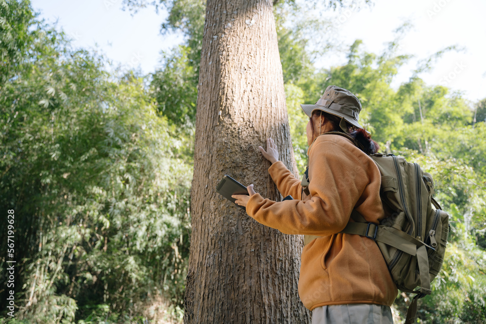 Fototapeta premium Asian young girl touching a tree in the wild forest. Traveler girl in a beautiful green forest. Nature conservation, environmental protection.