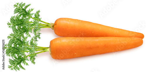 Fresh Carrot with leaf isolated on white background, Orange carrot on White Background With clipping path