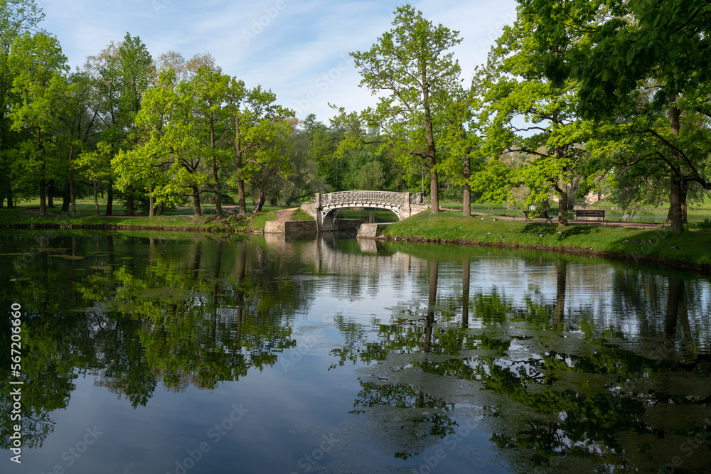 View of the cast-iron openwork bridge across the water maze channel near the White Lake in the Gatchina Palace and Park Complex on a sunny summer morning, Gatchina, St. Petersburg, Russia