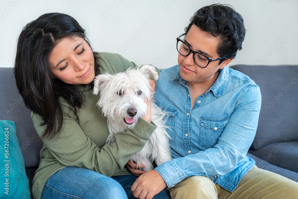 Happy gay couple sitting on sofa, positive people, with black hair in casual clothes sitting on blue couch and talking to each other in living room, embracing cute west highland white terrier.