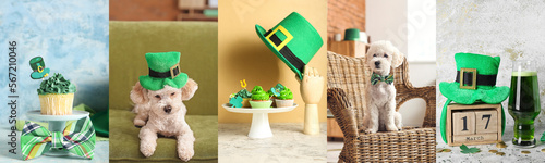 Festive collage for St. Pat...