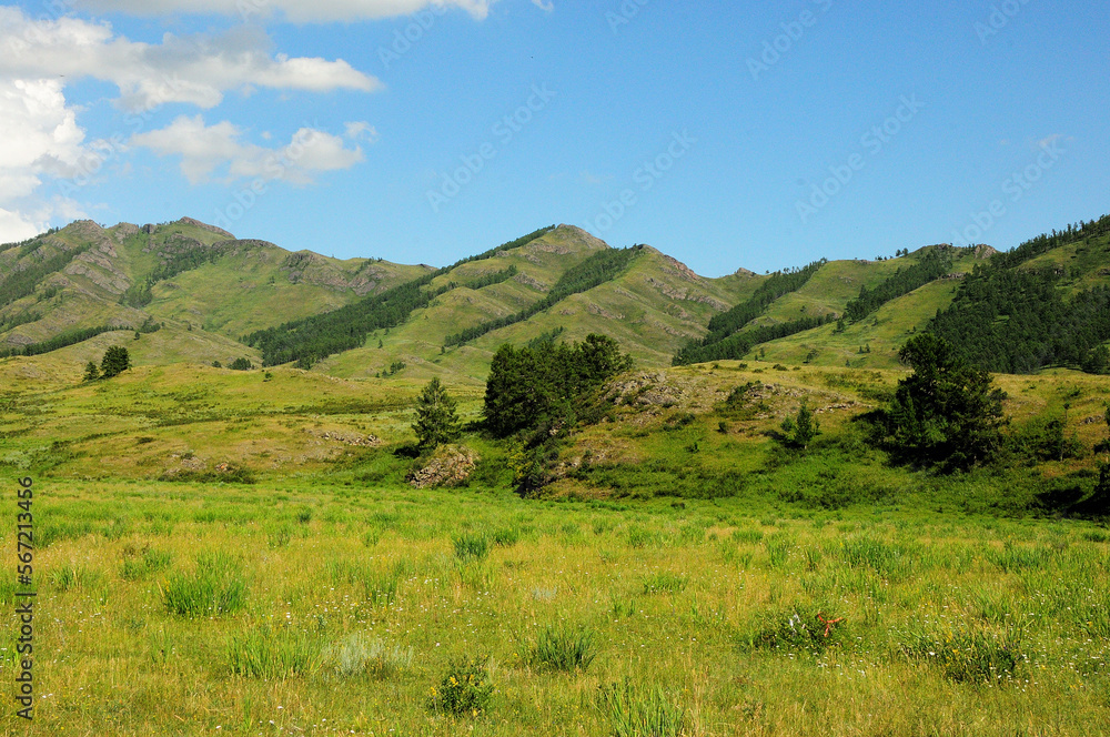 A clearing with low trees on the slopes of a high mountain range at the edge of a picturesque valley on a warm summer day.