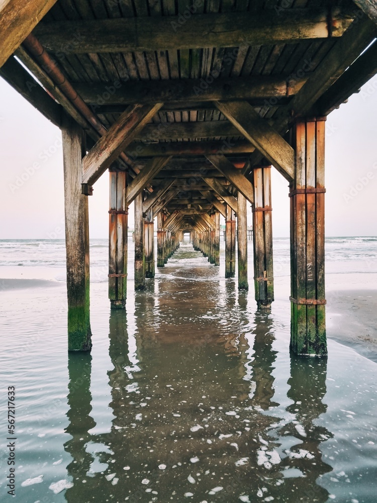 Fototapeta premium Processed with VSCO with a1 preset