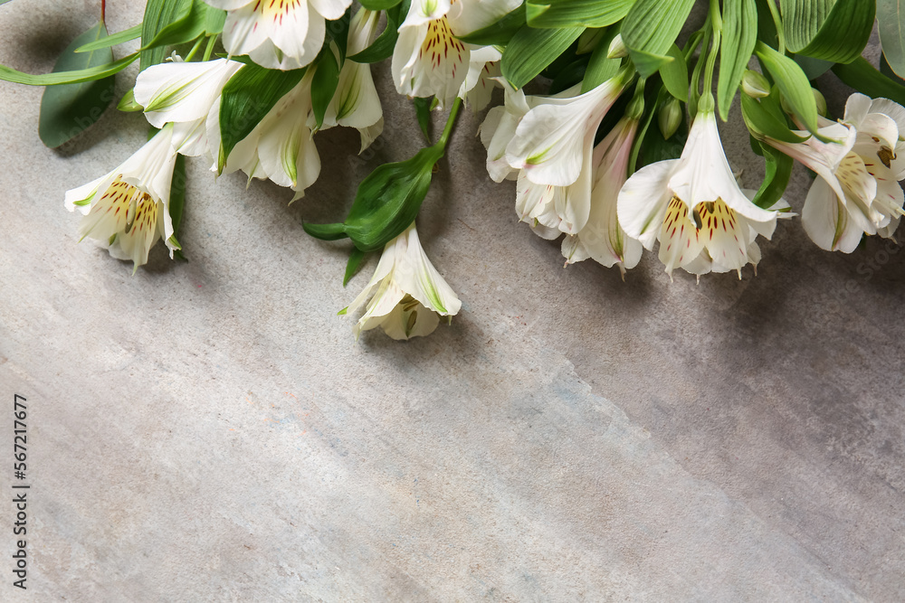 Beautiful alstroemeria flowers on grunge background, closeup Stock
