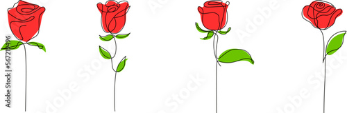one single outline drawing of red roses in a row. Set of 4 Decorative beautiful english garden rose with bud and color spots. Minimalist hand drawn sketch for valentines day - Vector illustration.