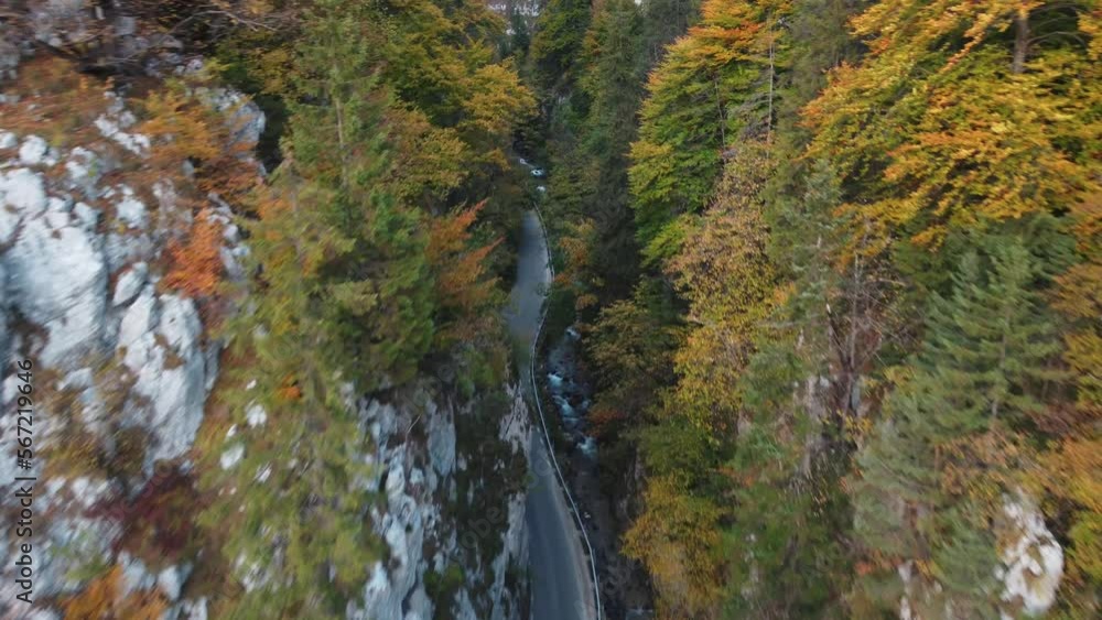 Cheile Dambovicioarei is a natural wonder located in Romania, featuring spectacular gorges and rock formations. Cheile Dambovicioarei is a natural wonder located in Romania, featuring spectacular gorges and rock formations.
