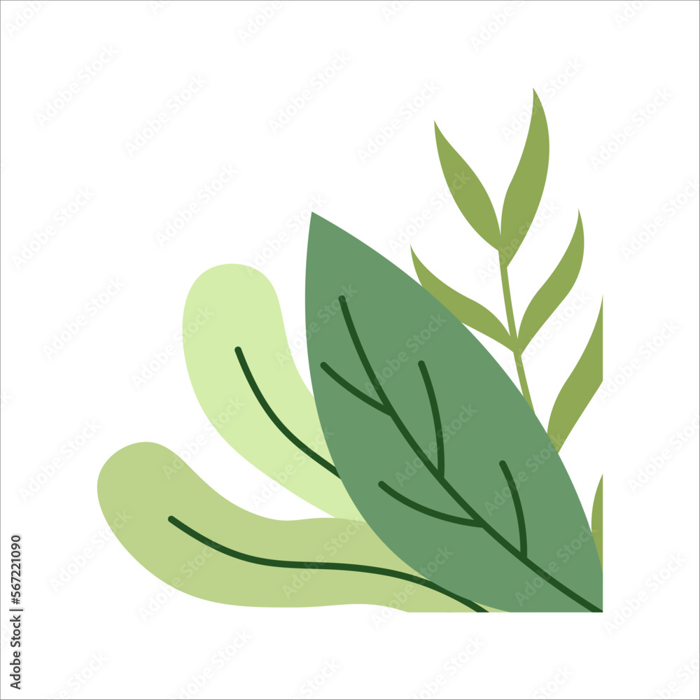 Green Flat Plants Corner Green Flat Plants Corner