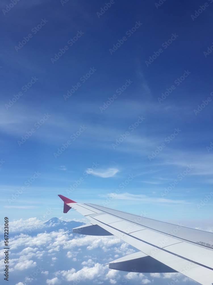 Fototapeta premium Fly to the sky
