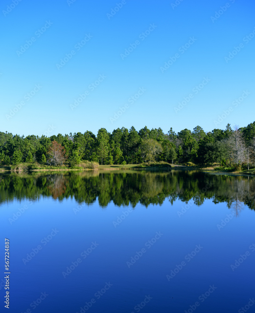 Reflection of clear sky in a lake