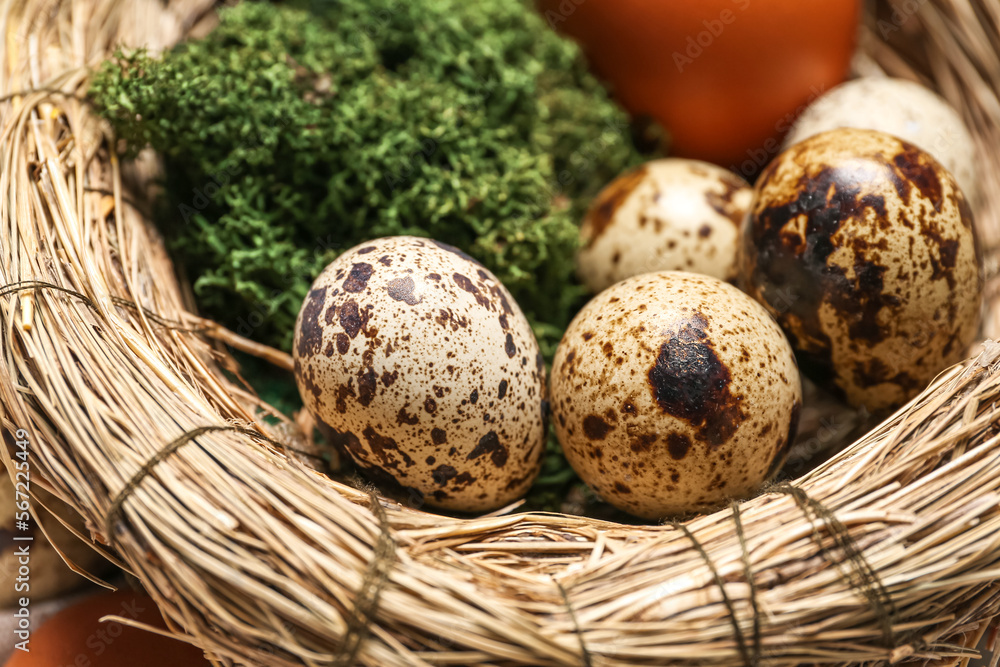 Obraz premium Nest with Easter eggs and moss, closeup