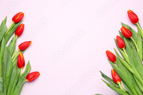 Fototapeta Naklejka Na Ścianę i Meble -  Red tulip flowers on pink background. Hello spring