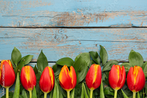 Composition with red tulip flowers and plant branches on color wooden background  closeup. Hello spring
