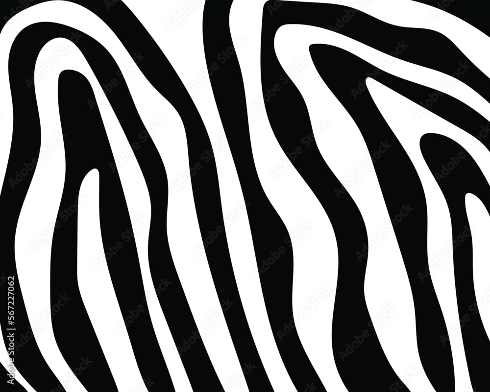 vector seamless zebra skin. vector seamless zebra skin.