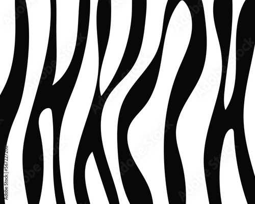 Obraz na plátně seamless zebra skin.