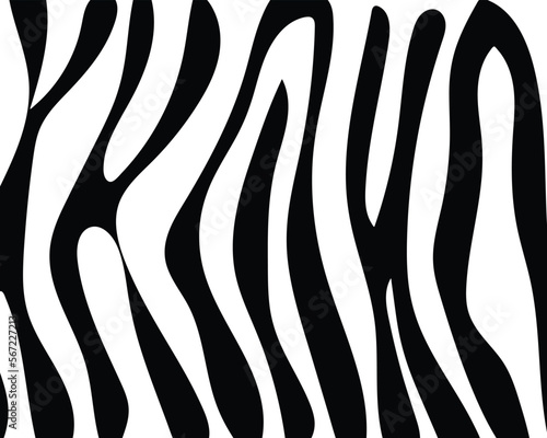 zebra skin pattern texture